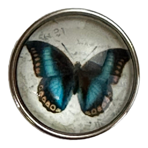 Blue Butterfly - LD Keyfinder